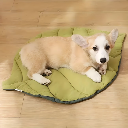 Comfortable leaf-shaped pet mat, made of polyester fiber, washable.