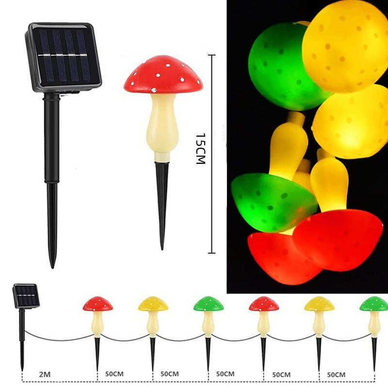 🔥Last Day:63% off🔥Clearance price: $28.99