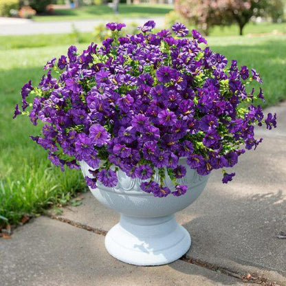 💥 Hot Sale 🌟 UV Resistant Artificial Petunia Flowers