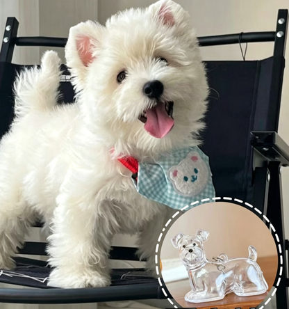 🏆Flash Sale 49%OFF❤️My Pet Keychain🐈🐕